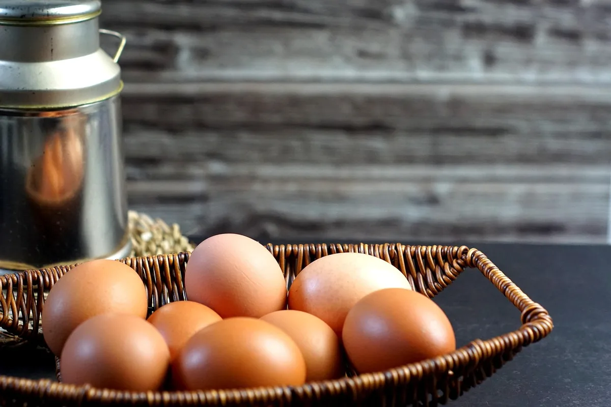 Poitrine de poulet crue et étiquette nutritionnelle montrant teneur en protéines