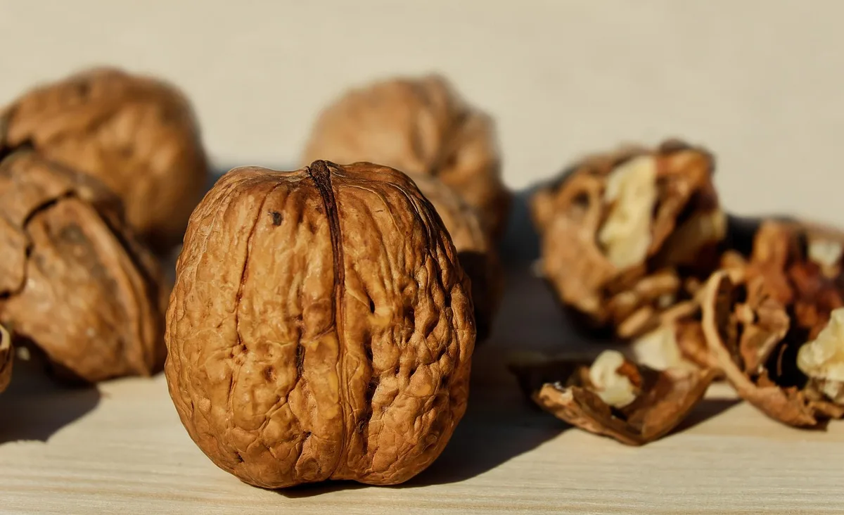 Bol de quinoa cuit montrant la texture et les graines