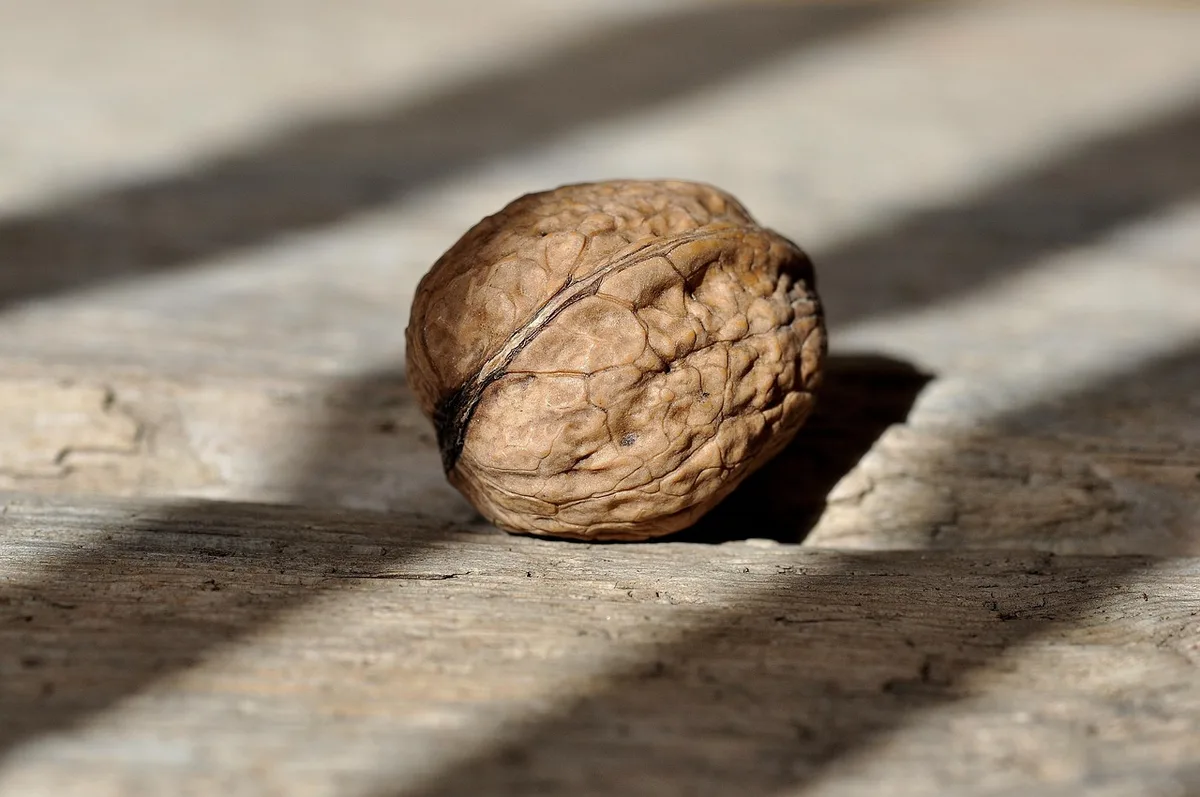 Petite portion de collations saines: noix, yaourt et fruit
