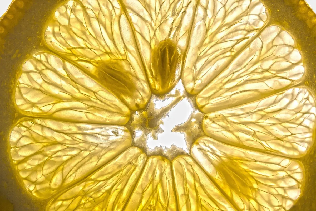 Assiette équilibrée riche en protéines avec légumes et céréales complètes