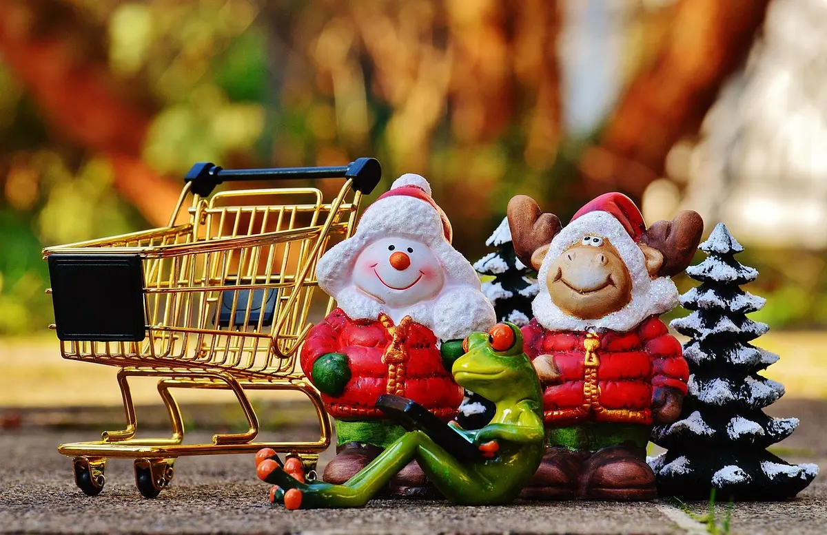 Personne consultant les détails d'un produit sur un navigateur, fiche produit visible