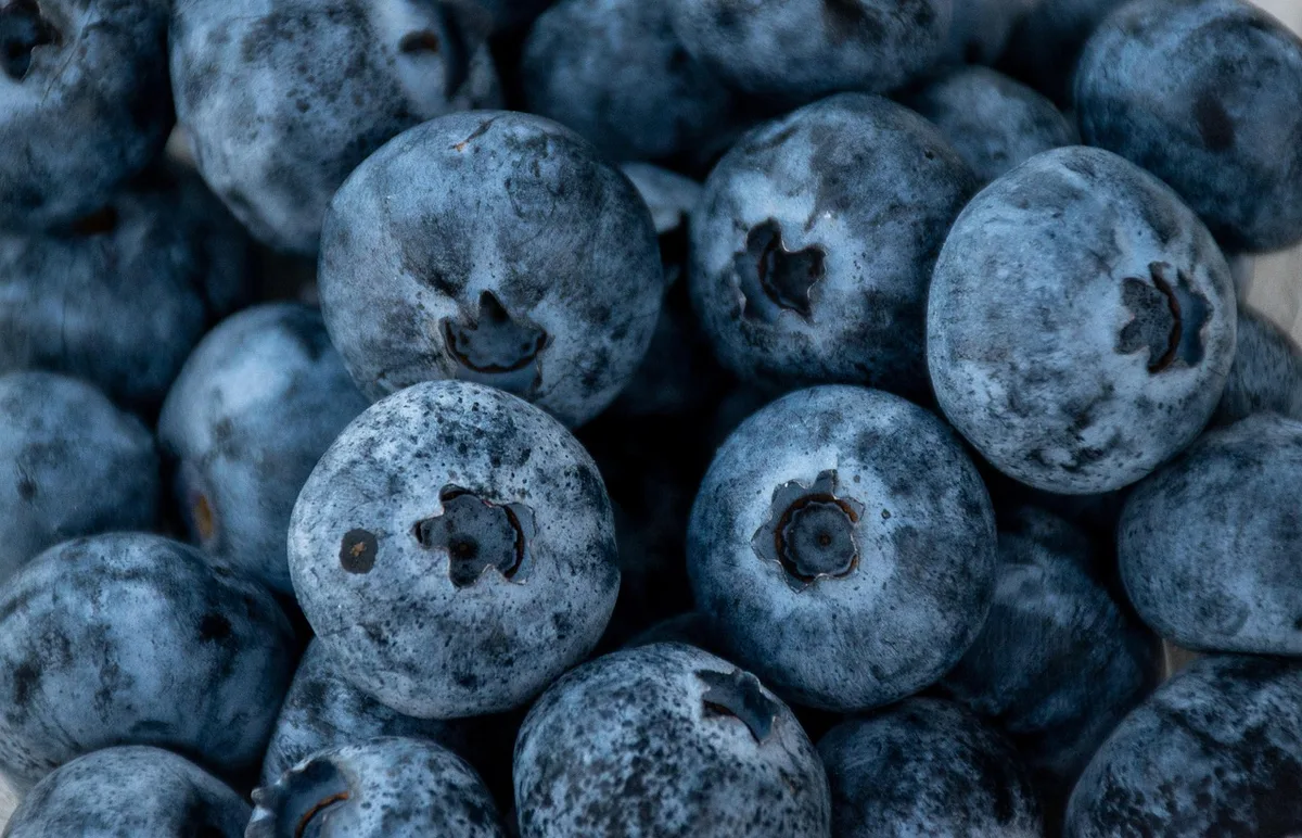 Assiette de régime centré sur les végétaux avec fruits et légumes colorés