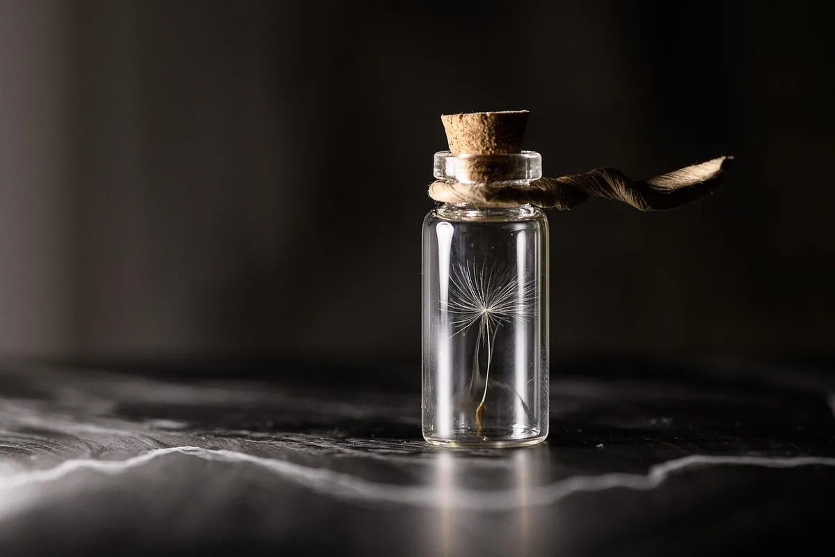 Verre d'eau sur une table, hydratation avant un repas